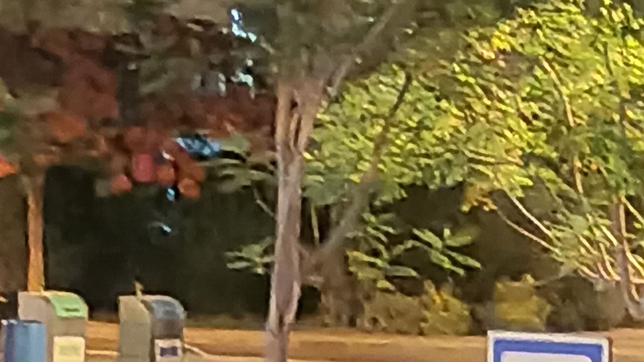 Photo of Outdoor in Cairo
