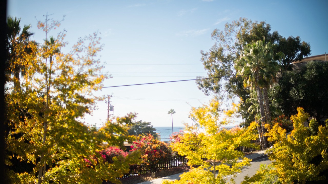 Photo of Outdoor in Laguna Beach