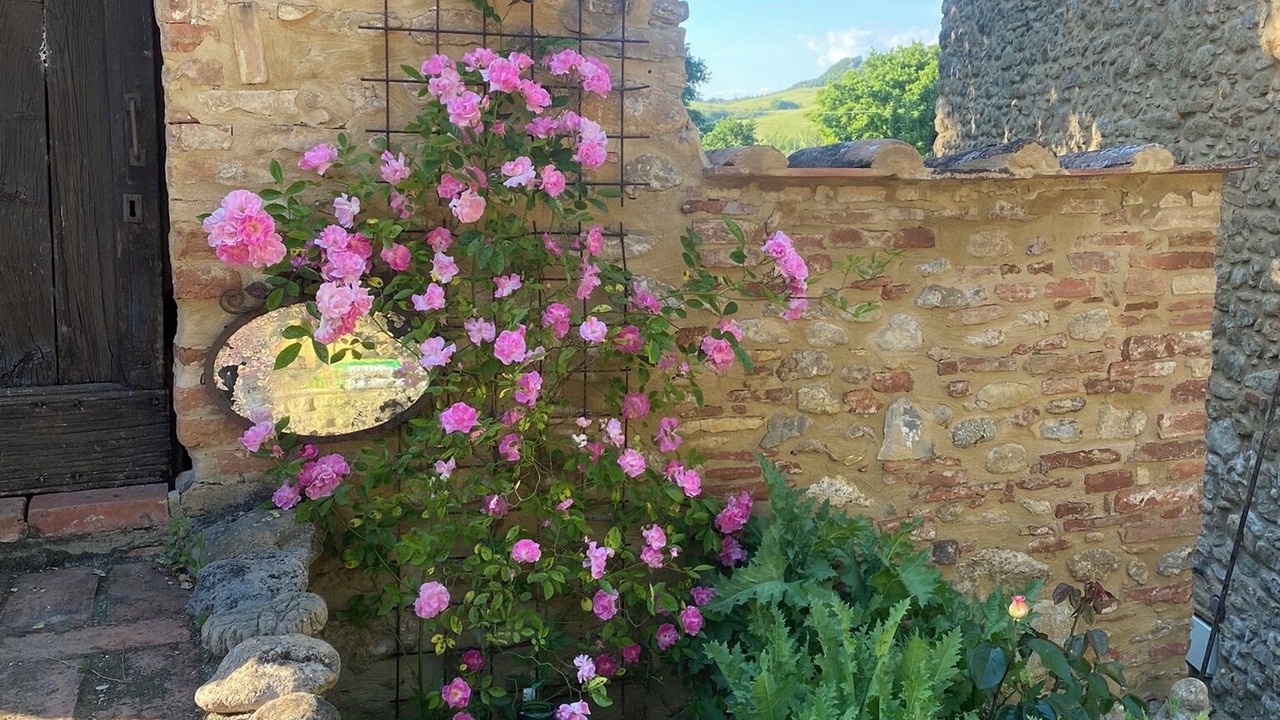 Photo of Outdoor in Volterra
