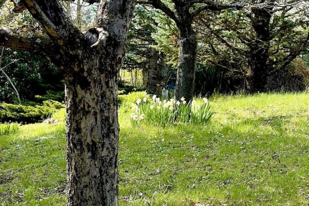 Photo of Outdoor in Grizzana Morandi
