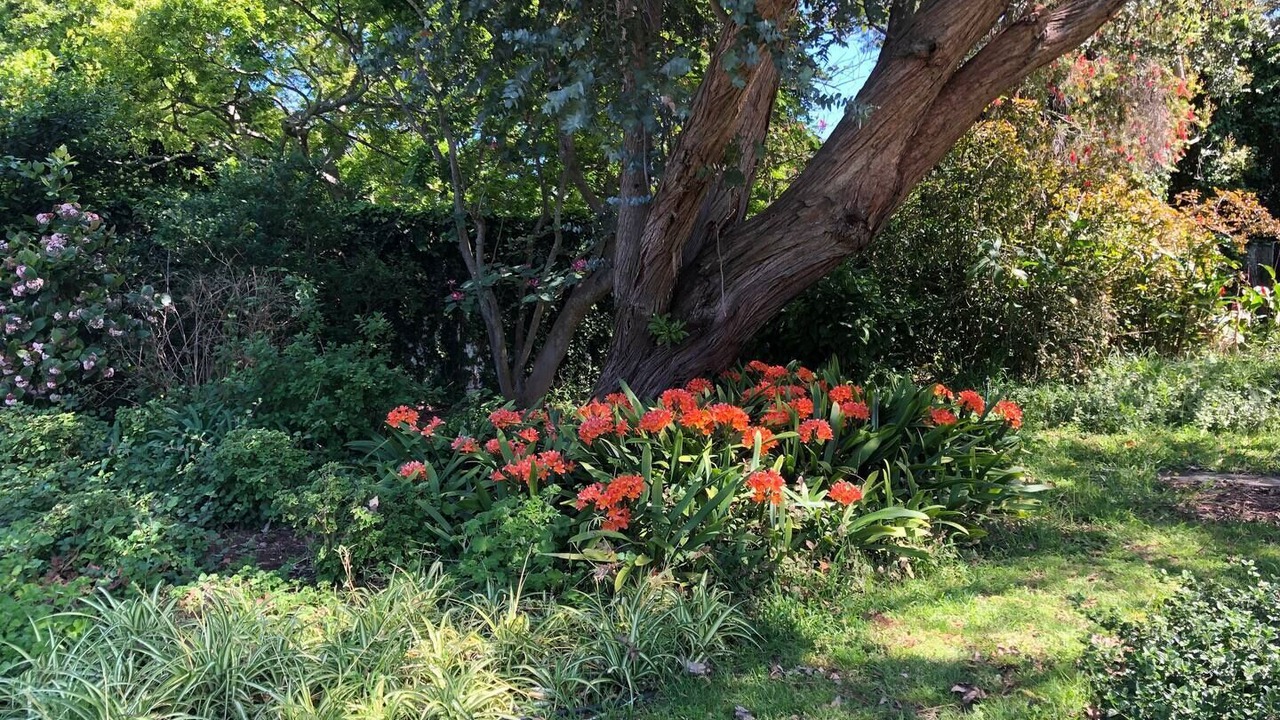 Photo of Outdoor in Constantia
