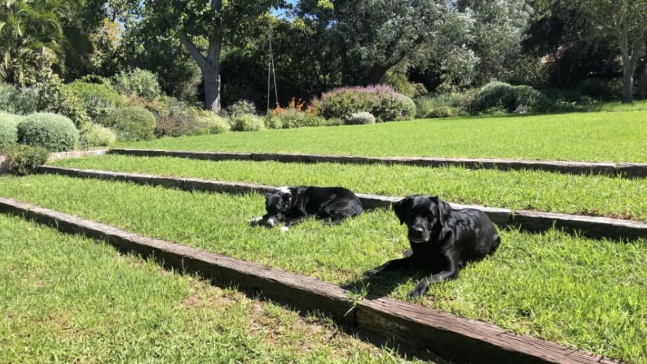 Photo of Others in Constantia