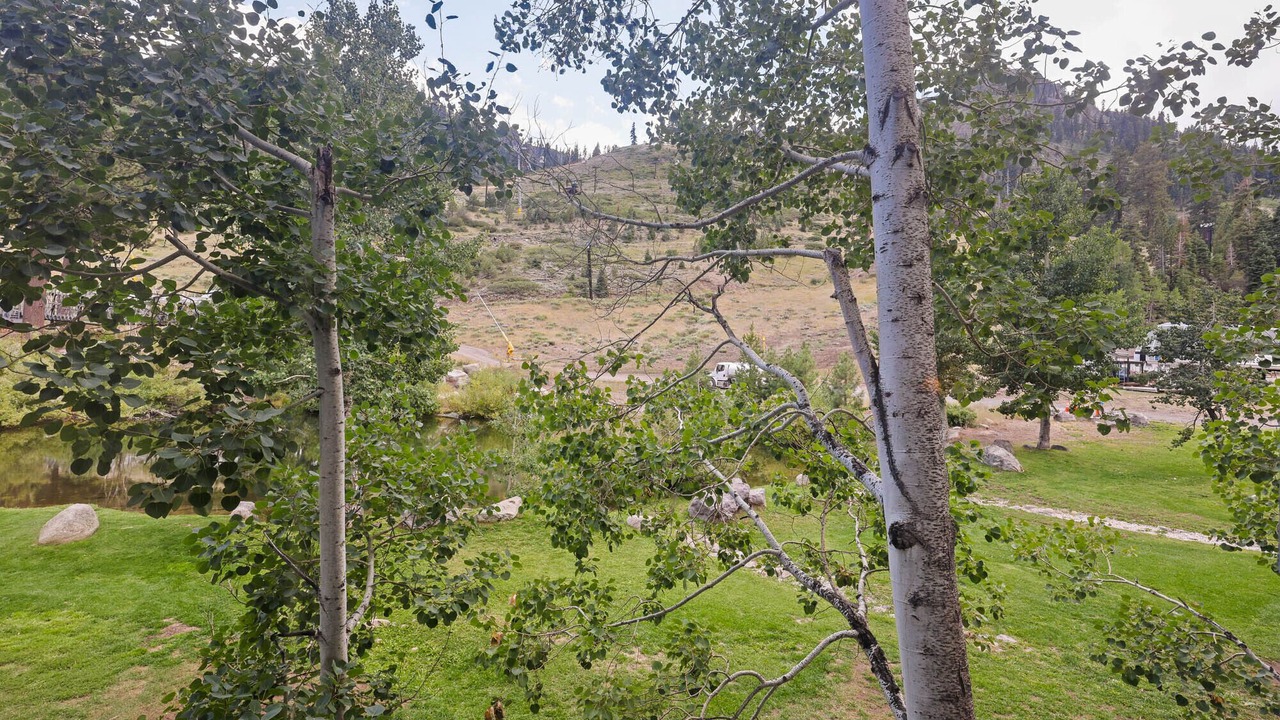 Photo of Others in Olympic Valley