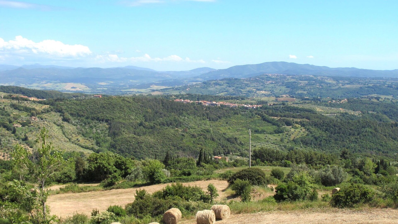 Photo of Outdoor in Riparbella