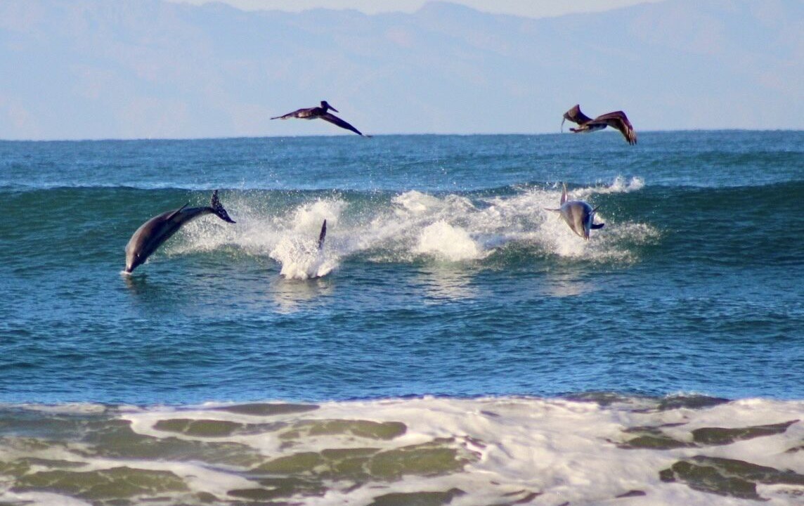Photo of Others in Silver Strand