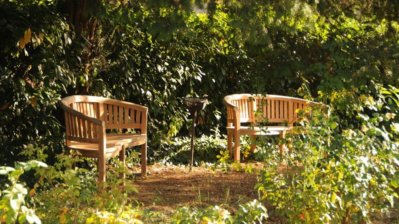 Photo of Outdoor in San Piero a Sieve