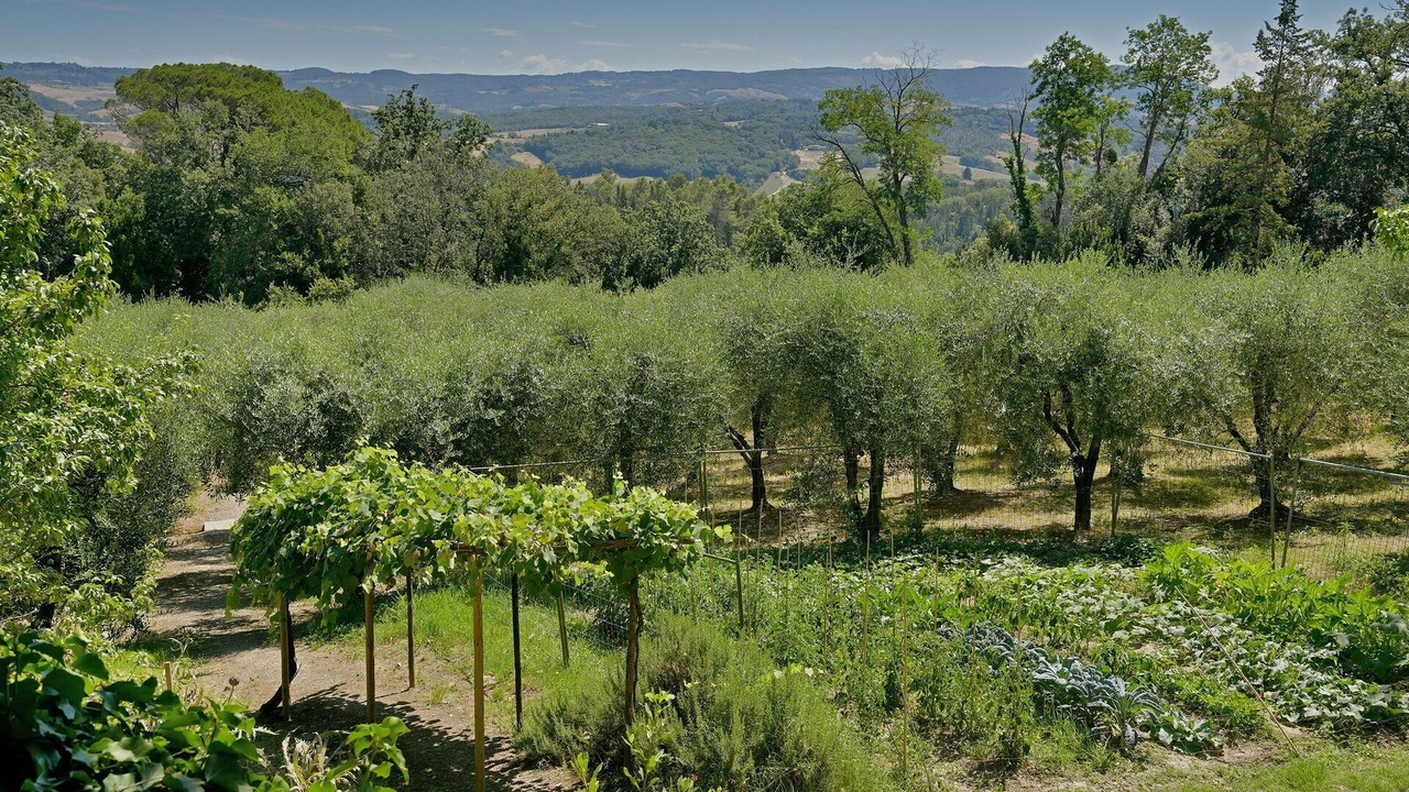Photo of Outdoor in Montelopio