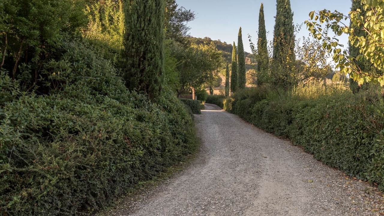 Photo of Outdoor in San Macario In Monte