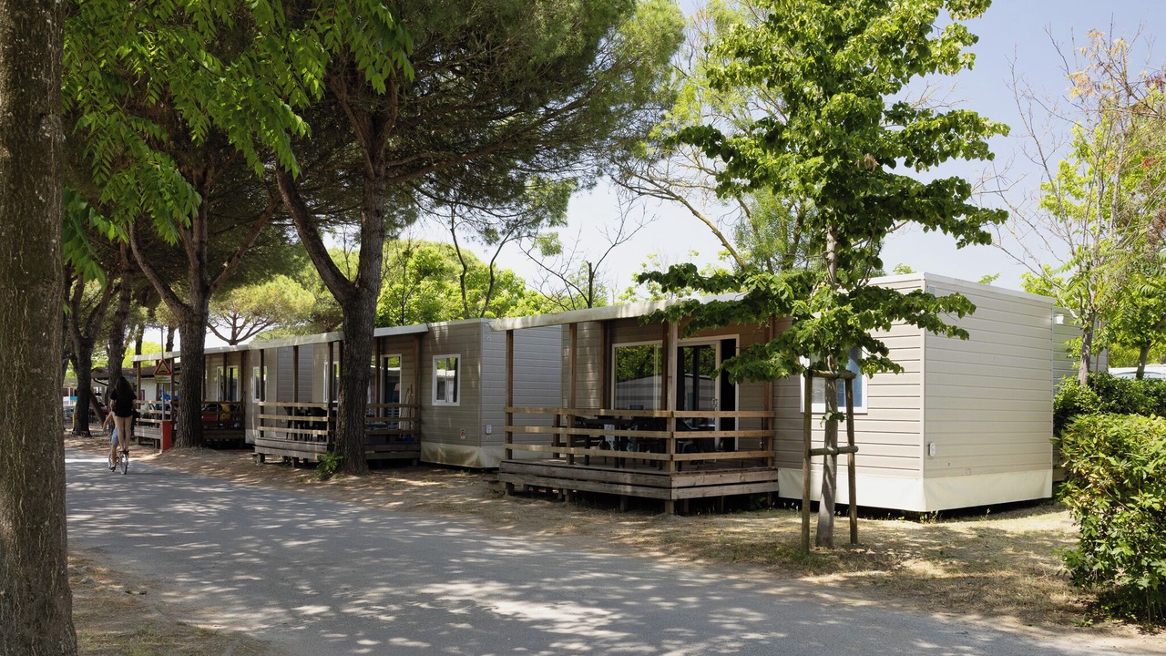 Photo of Outdoor in Zadina Pineta