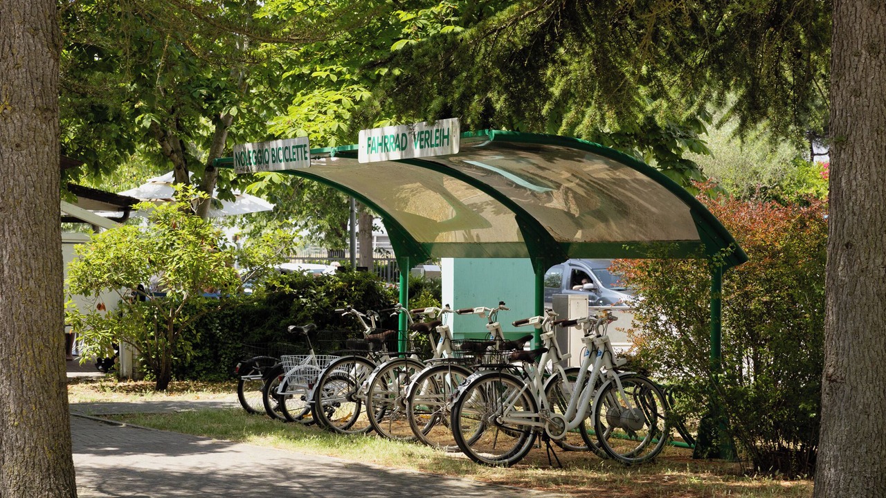 Photo of Outdoor in Zadina Pineta