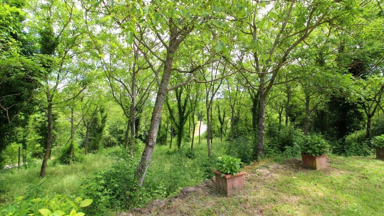 Photo of Outdoor in Castel Focognano