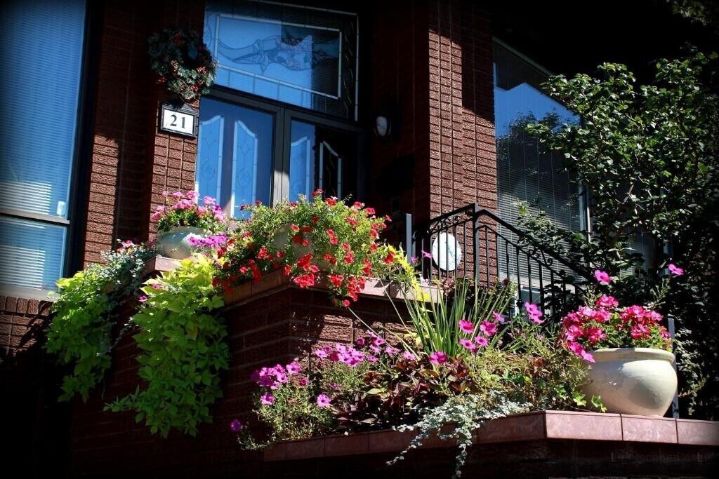Photo of Outdoor in Humber Summit