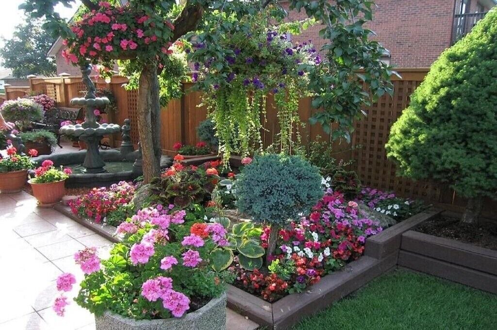 Photo of Outdoor in Humber Summit