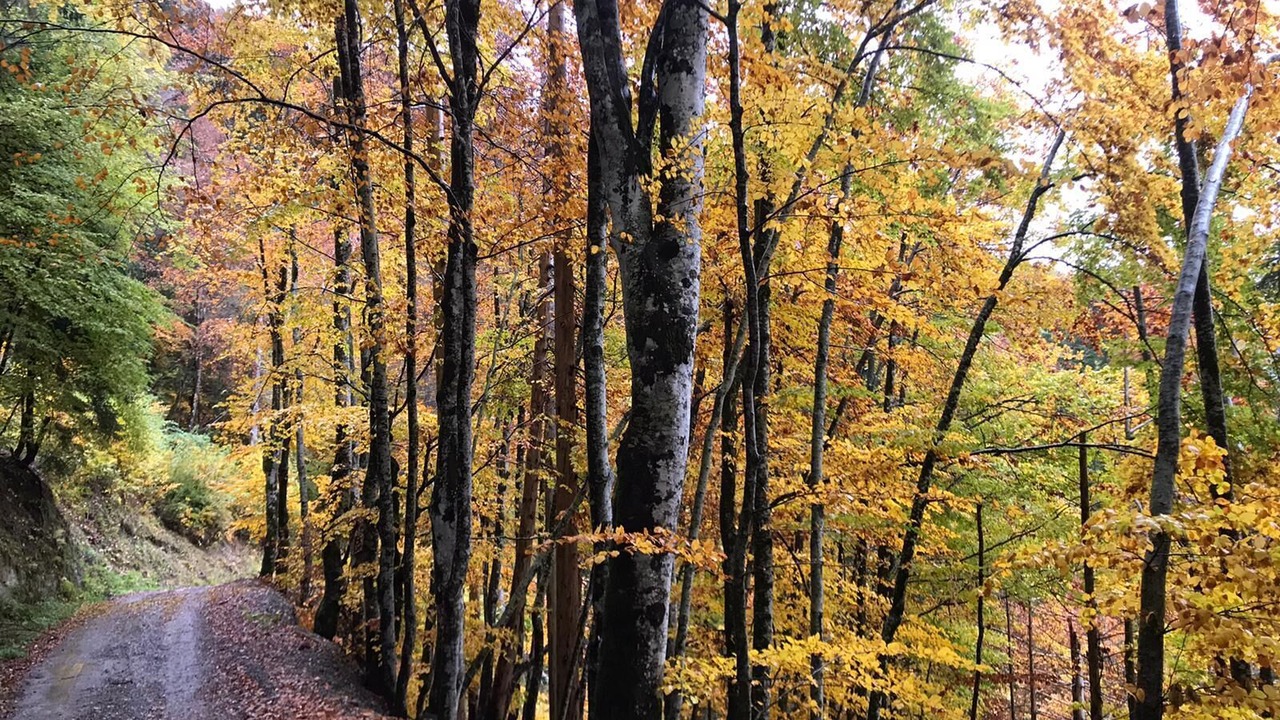 Photo of Outdoor in Cohennoz
