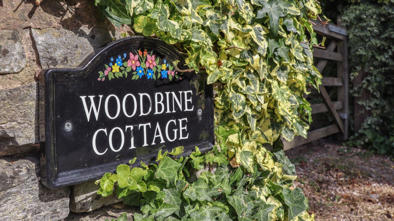 Photo of Outdoor in Pitchcombe
