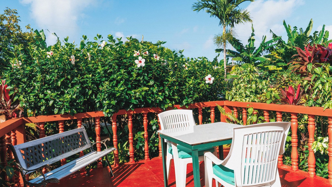 Photo of Outdoor in Discovery Bay