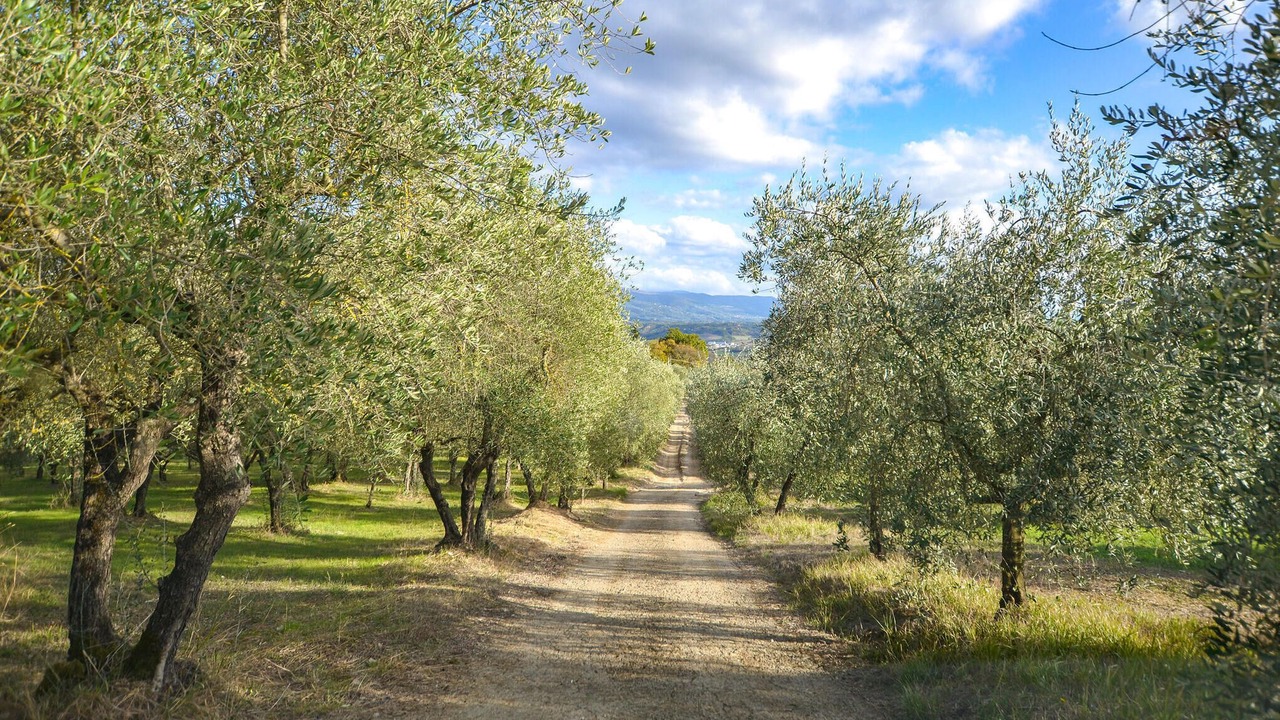 Photo of Others in Rignano sull'Arno