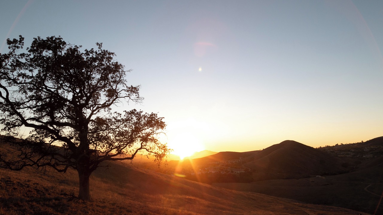 Photo of Others in Camarillo