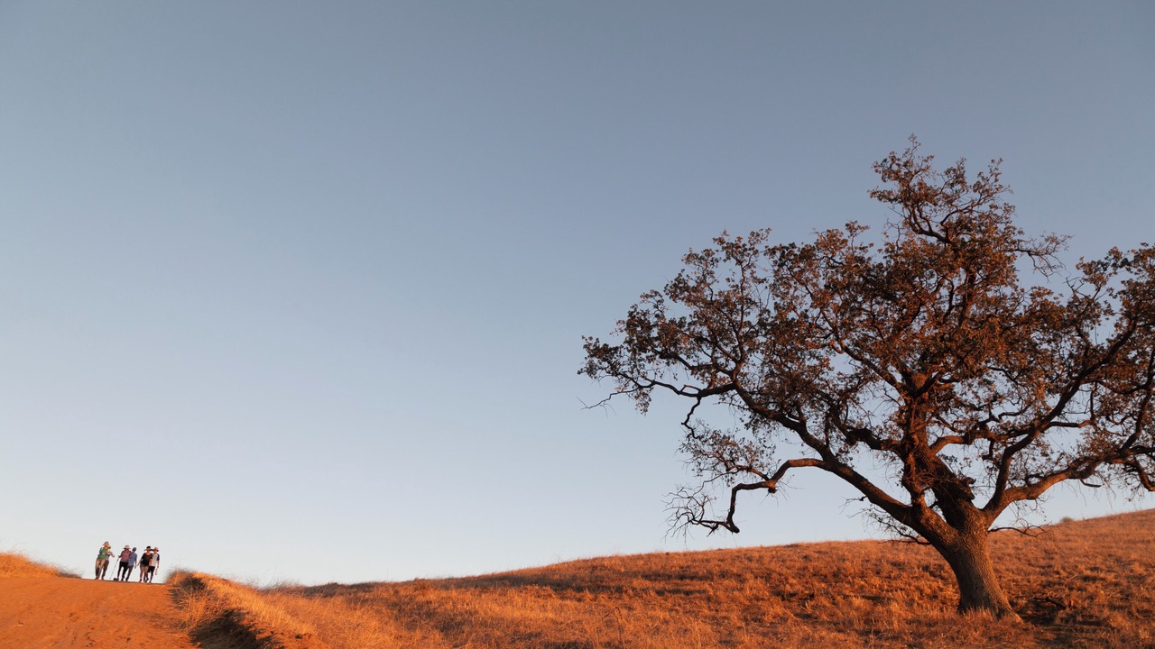 Photo of Others in Camarillo