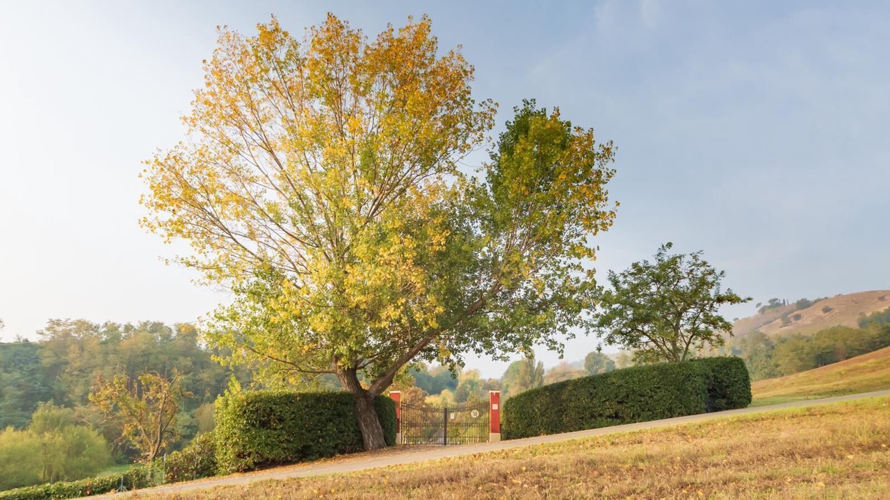 Photo of Outdoor in Sasso Marconi