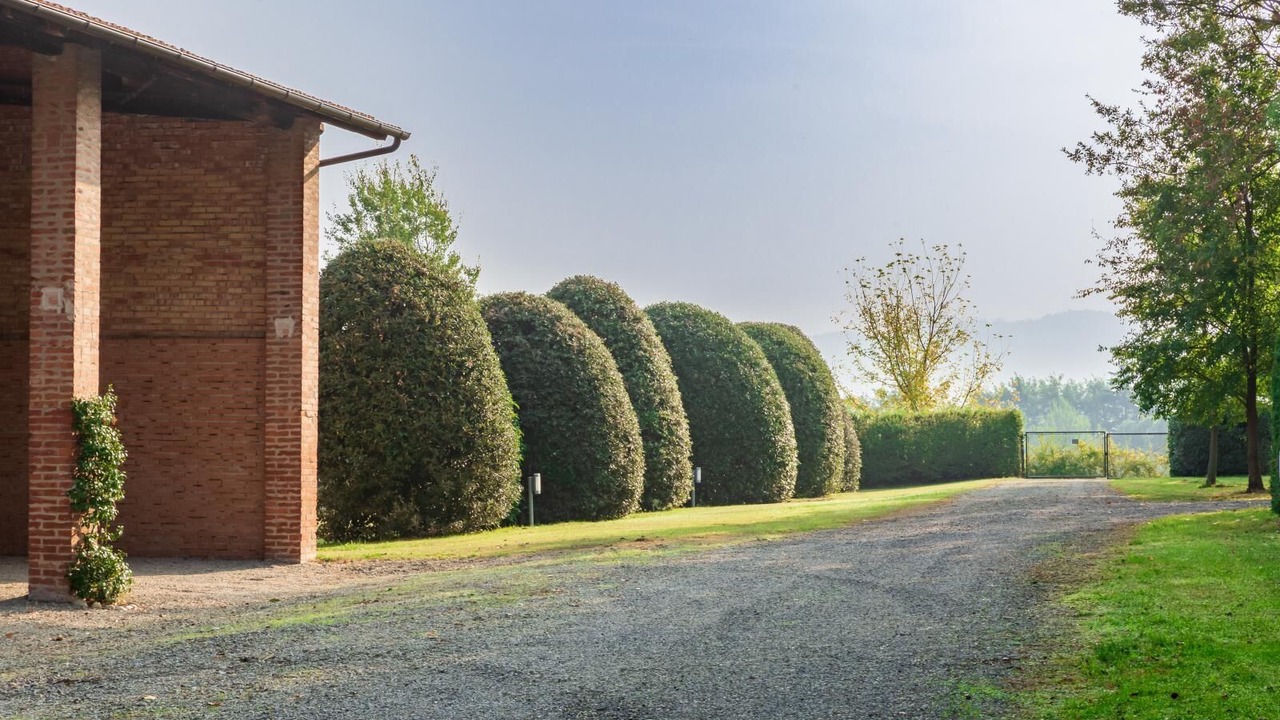 Photo of Outdoor in Sasso Marconi