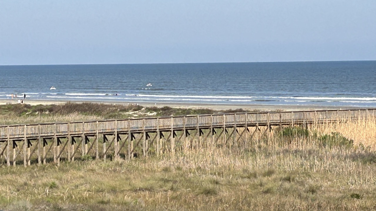 Photo of Others in Red Fish Cove