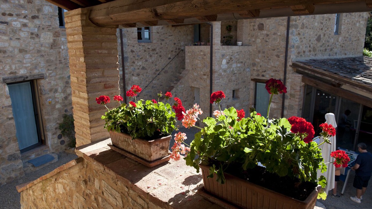 Photo of Outdoor in Colle di Val d'Elsa