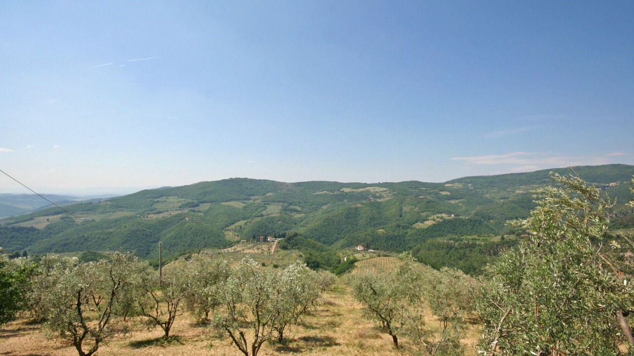 Photo of Outdoor in Montebonello