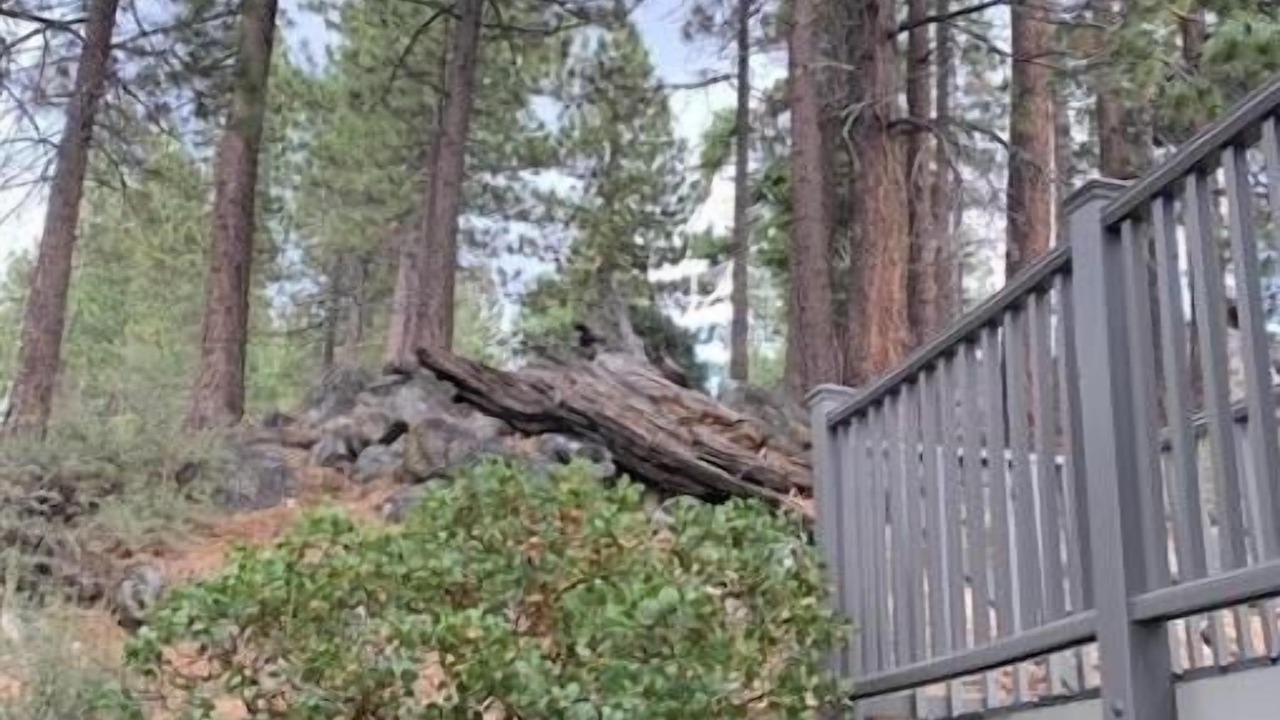 Photo of Outdoor in Tahoe Village