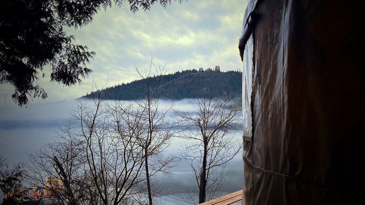Photo of Others in Port Moody
