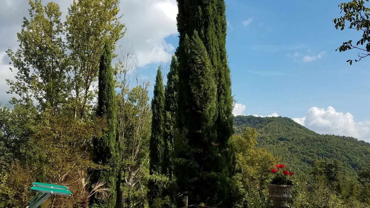 Photo of Outdoor in Caprese Michelangelo