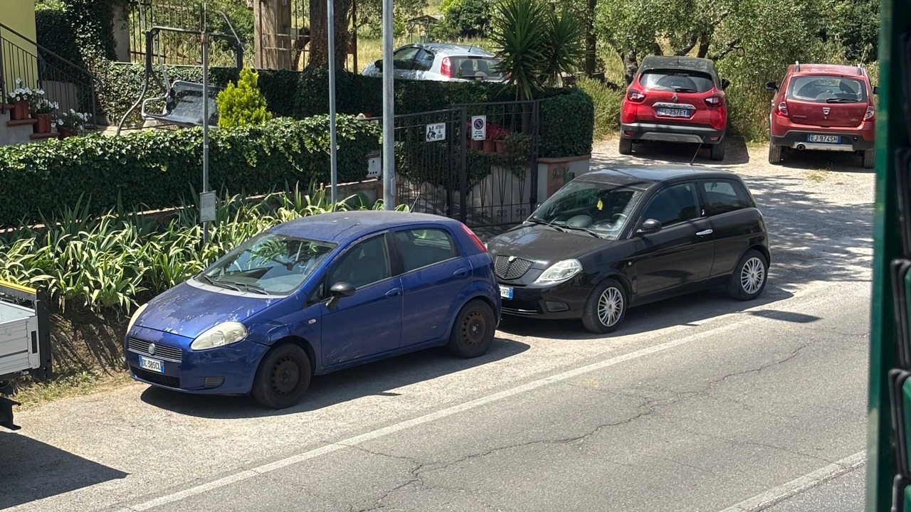 Photo of Others in Montopoli in Val d'Arno
