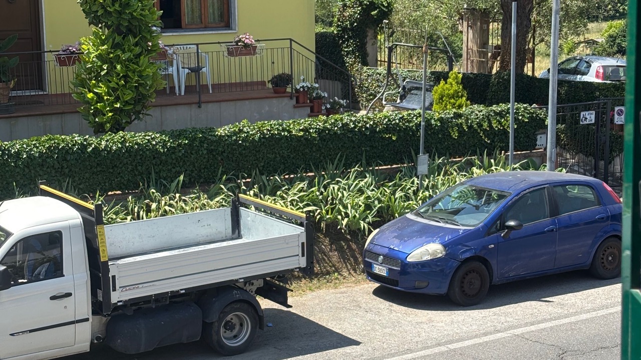Photo of Others in Montopoli in Val d'Arno