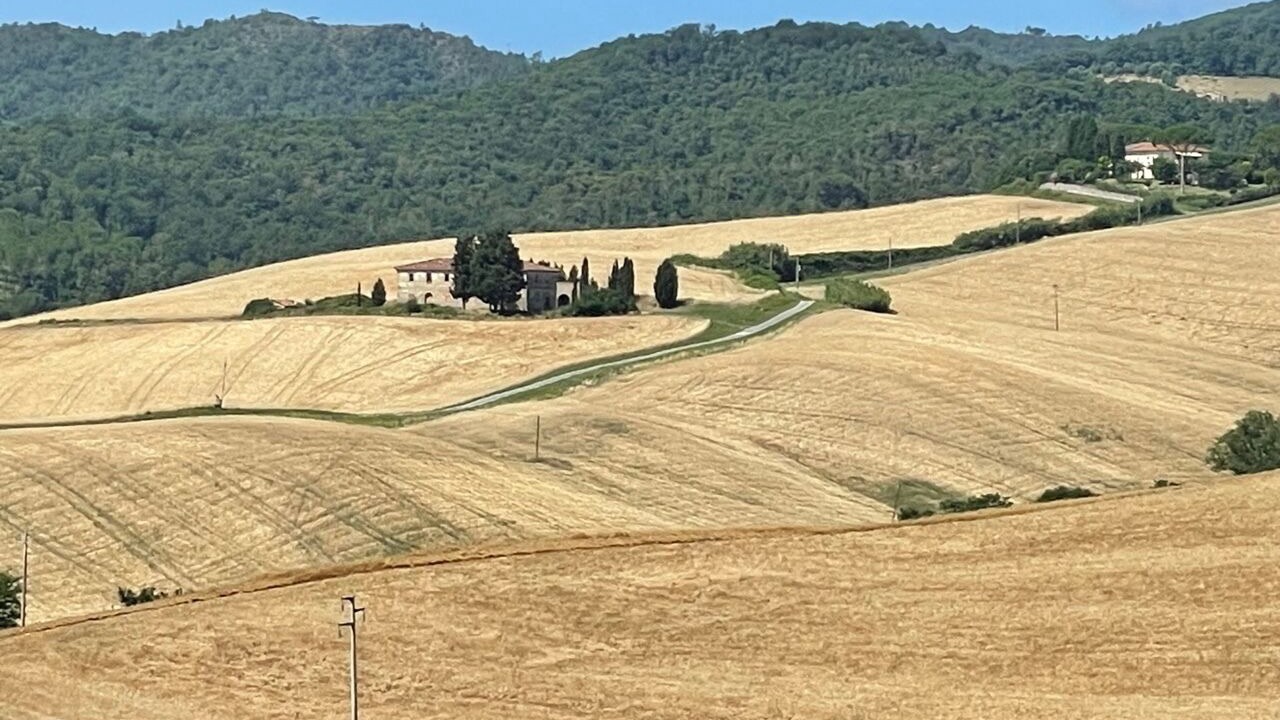 Photo of Others in Collesalvetti