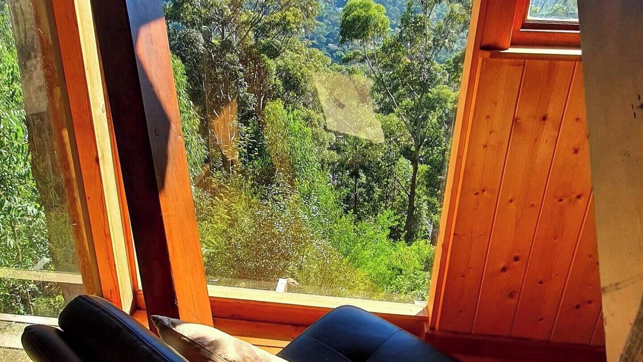 Photo of Others in Constantia