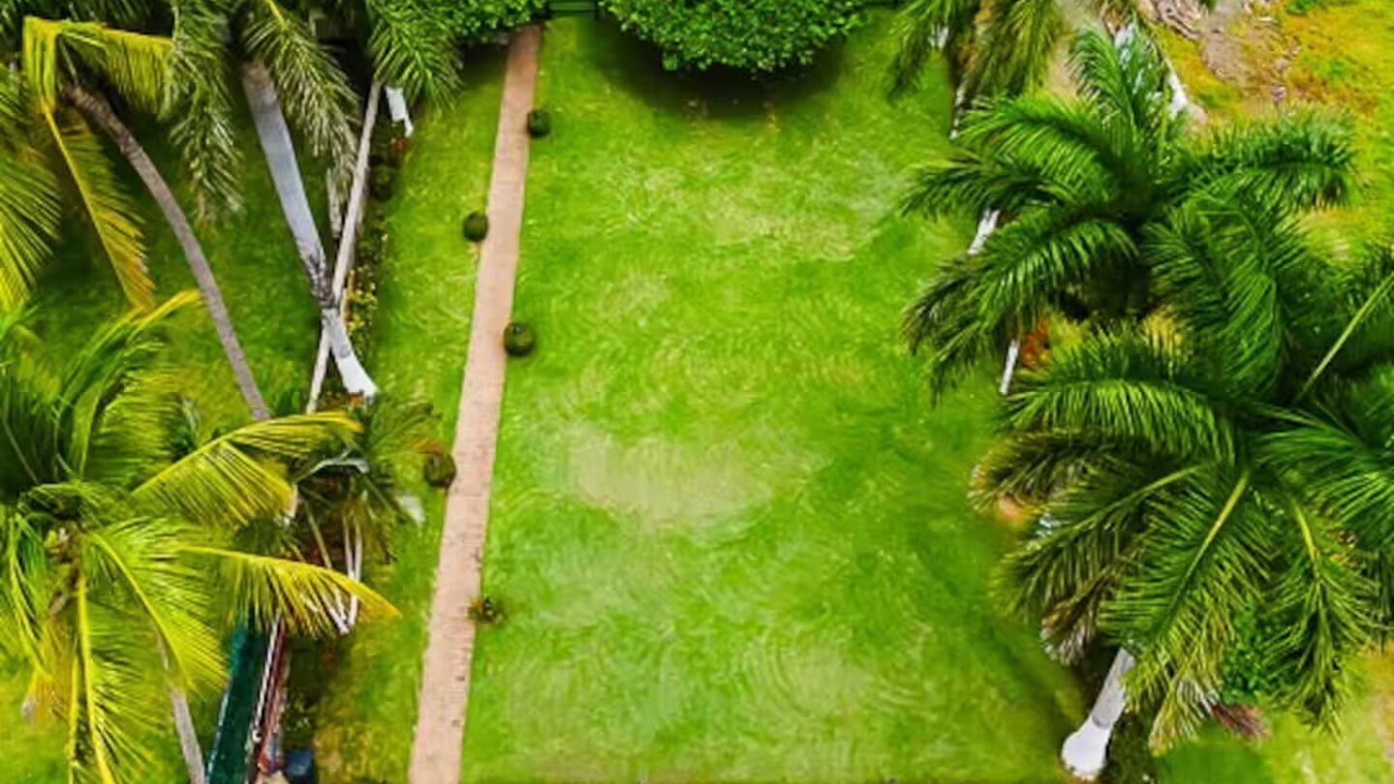 Photo of Outdoor in Potrero