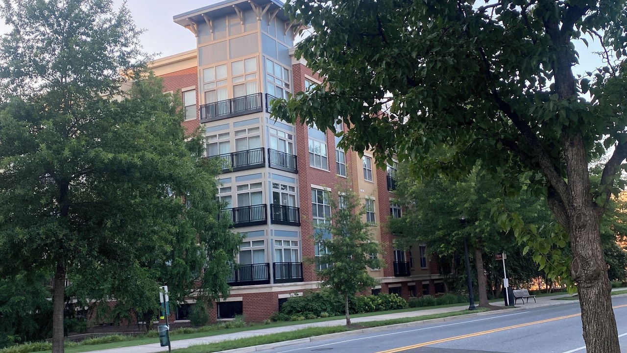 Photo of Outdoor in College Park