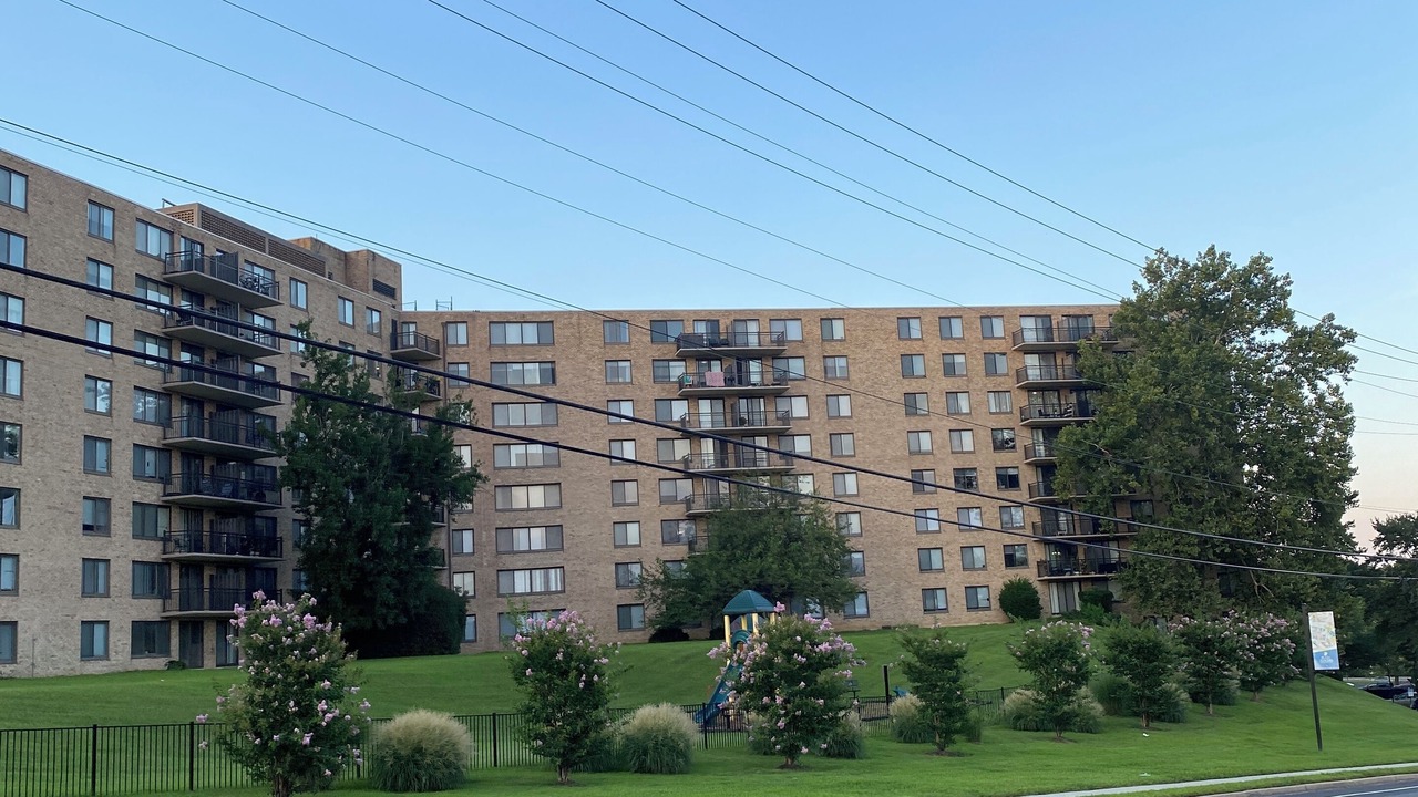 Photo of Outdoor in College Park