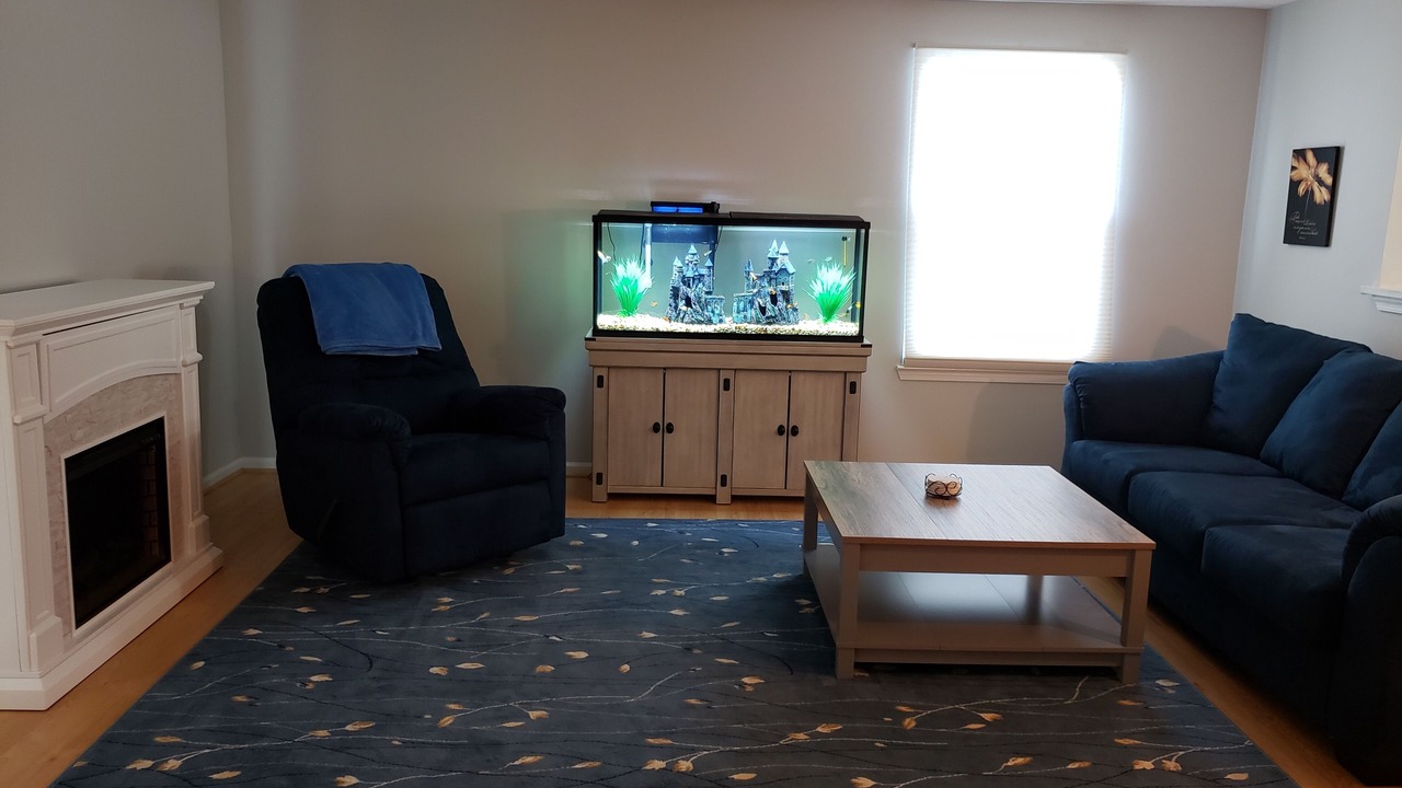 Photo of Livingroom in Calverton