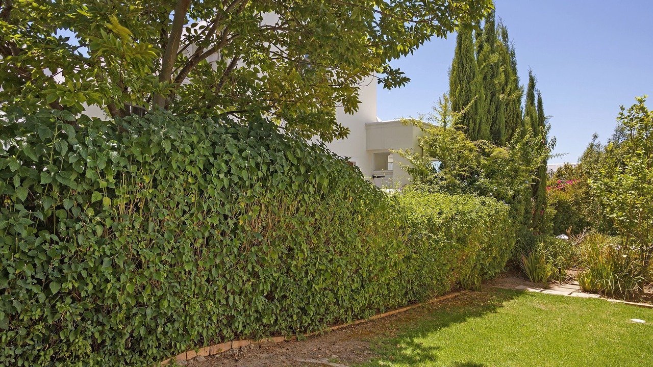 Photo of Outdoor in Stellenbosch