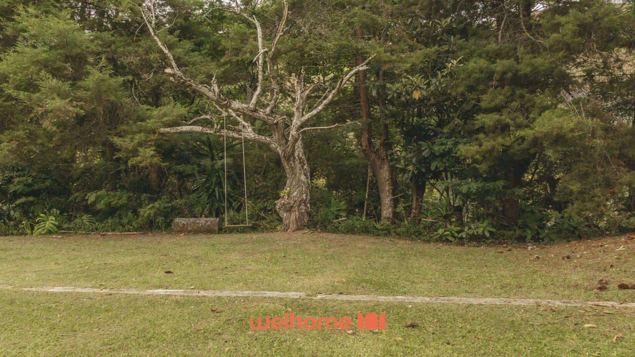 Photo of Outdoor in Teresopolis