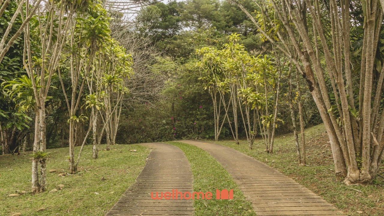 Photo of Outdoor in Teresopolis