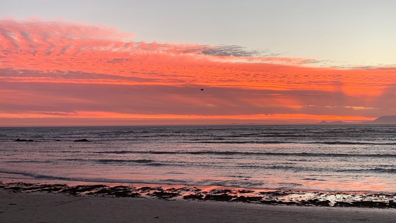 Photo of Others in Betty's Bay
