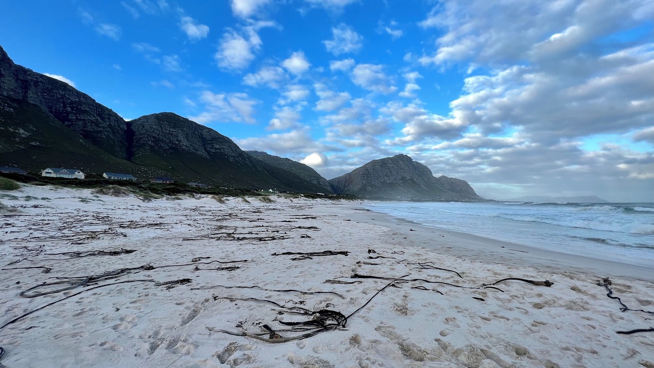 Photo of Others in Betty's Bay