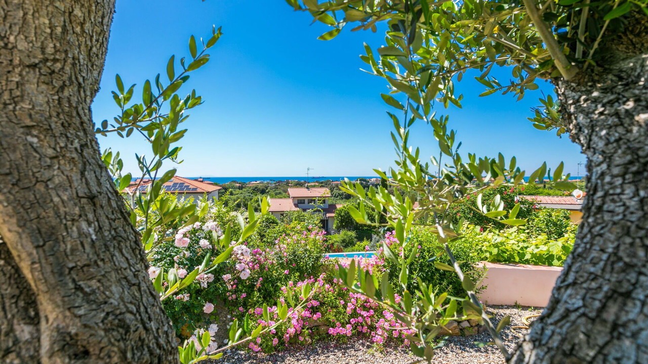 Photo of Patio Balcony in Livorno