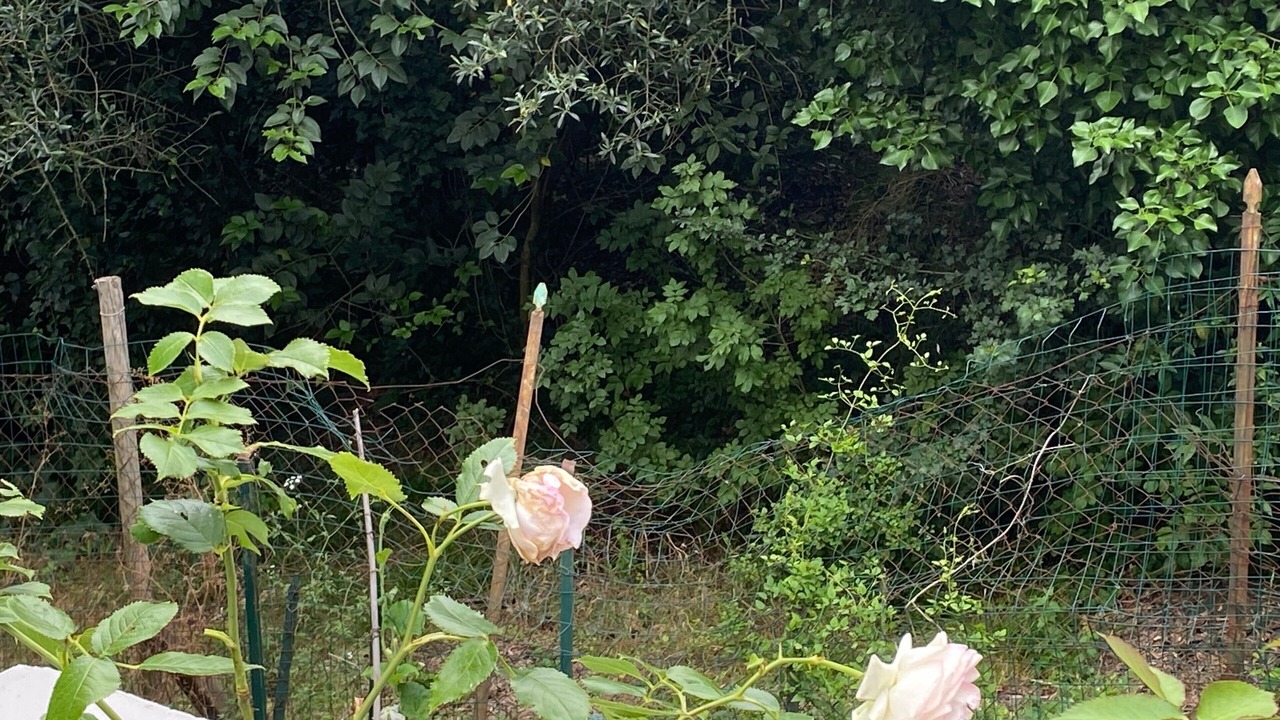 Photo of Outdoor in Lastra a Signa