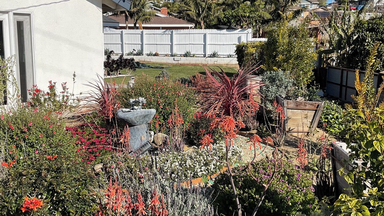 Photo of Outdoor in Ventura