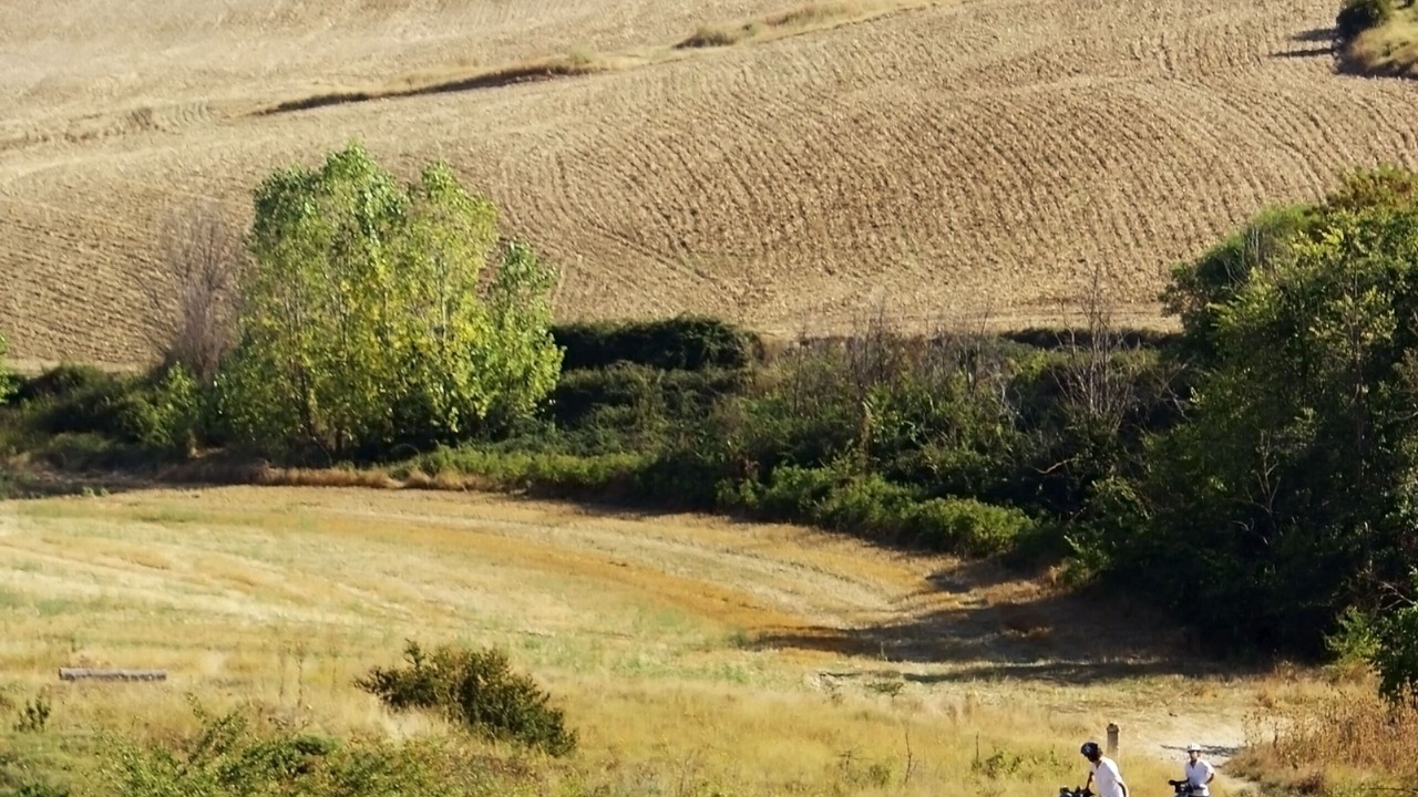 Photo of Others in San Piero a Grado