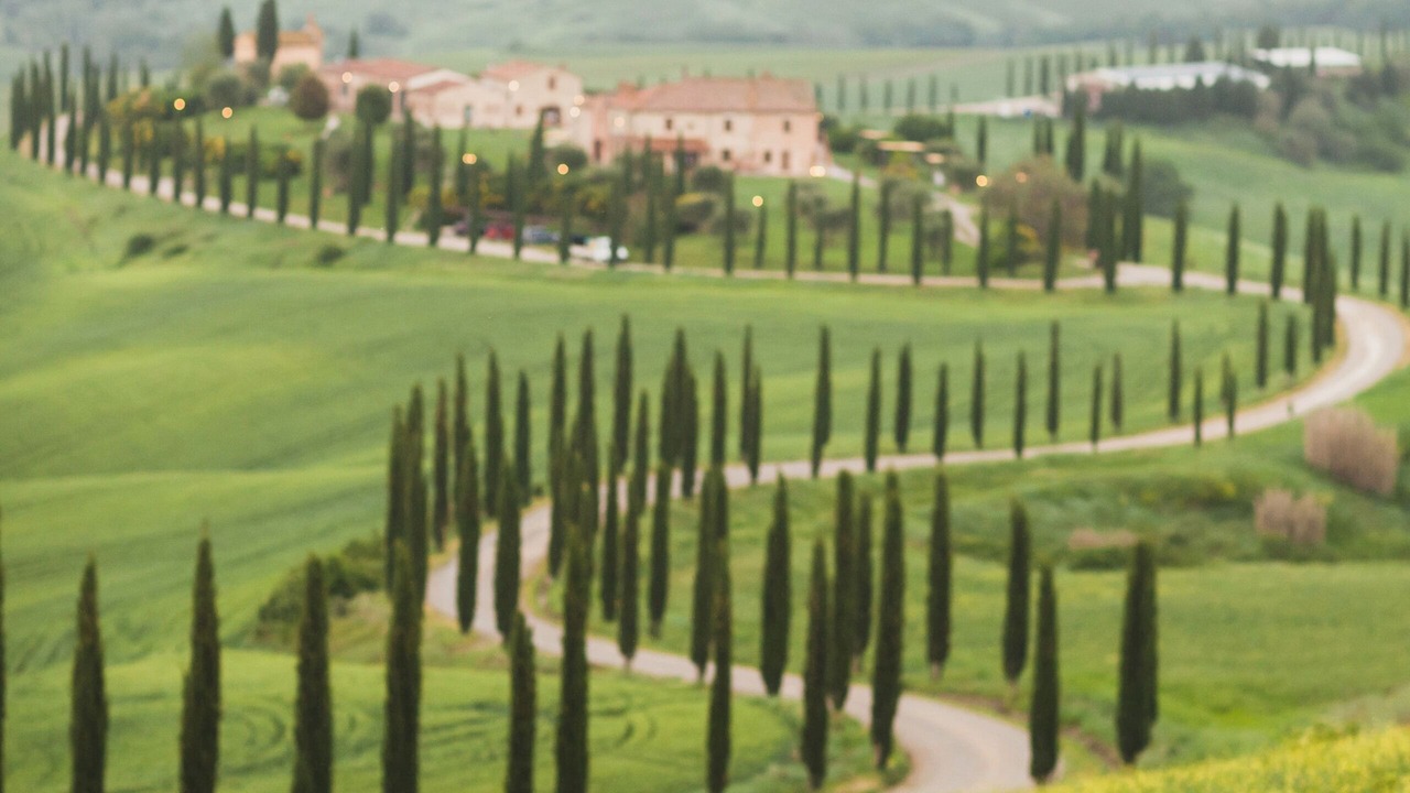 Photo of Others in San Piero a Grado
