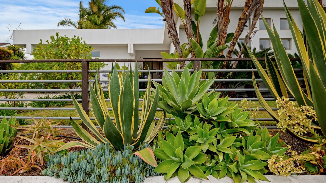 Photo of Outdoor in The Mesa